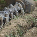 DOK-INGs demining system in training area